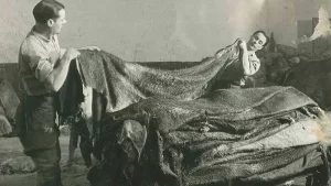 تکامل چرم مصنوعی